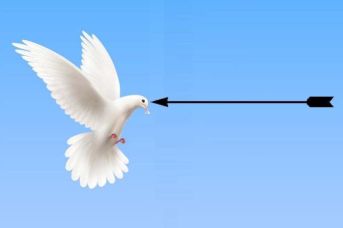 Montagem pomba e flecha, Freepik