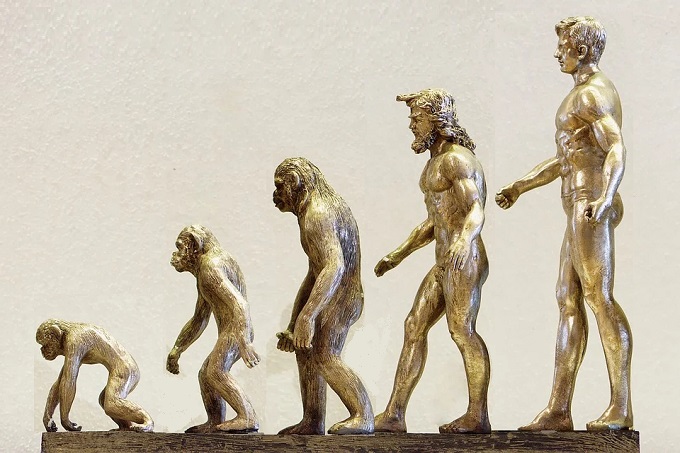 Boçalnazismo - a jornada de um país